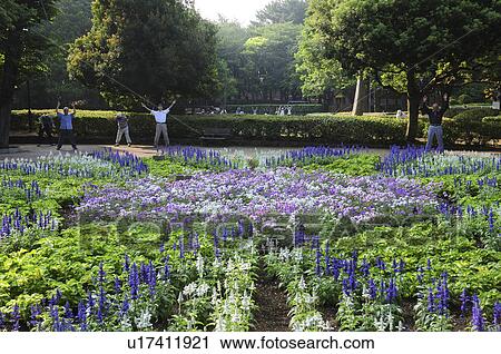 Flowers at park, Chiba Prefecture, Japan View Large Photo Image Stock Image - Flowers at park, Chiba Prefecture, Japan. Fotosearch