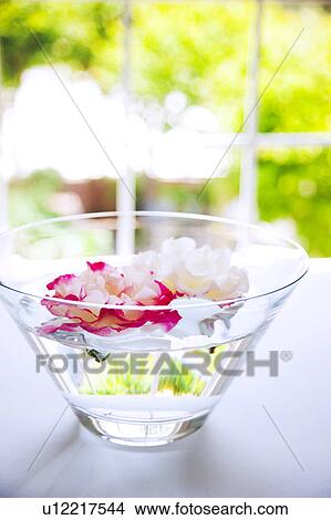 Picture - Flowers in Bowl of Water. Fotosearch