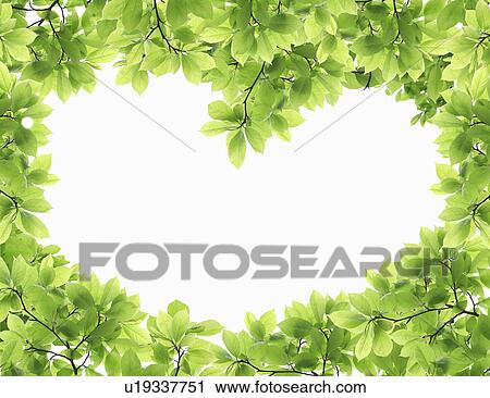 Stock Image - Foliage Frame in Heart Shape. Fotosearch