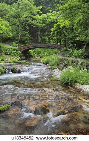 Footbridge Over River View Large Photo Image Stock Image - Footbridge Over River. Fotosearch