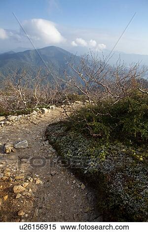 Footpath in Mountains View Large Photo Image Stock Photography - Footpath in Mountains. Fotosearch