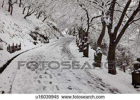 Footpath in Park View Large Photo Image Stock Photography - Footpath in Park. Fotosearch