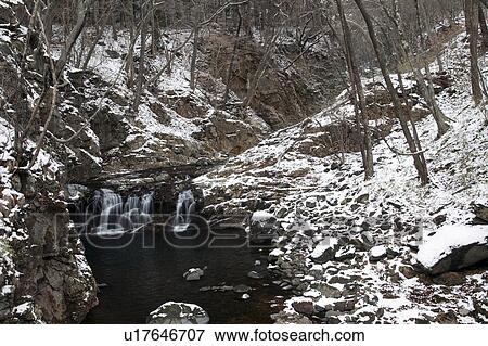 Forest Stream in Winter View Large Photo Image Stock Photo - Forest Stream in Winter. Fotosearch