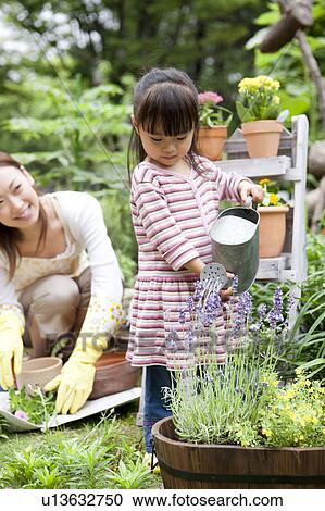 Girl watering on potted flower View Large Photo Image Stock Image - Girl watering on potted flower. Fotosearch