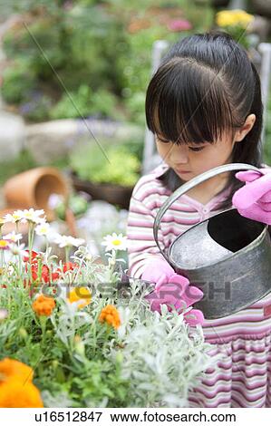 Girl watering potted flower View Large Photo Image Stock Photo - Girl watering potted flower. Fotosearch