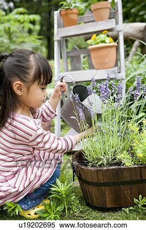Girl watering potted flower View Large Photo Image Stock Photography - Girl watering potted flower. Fotosearch