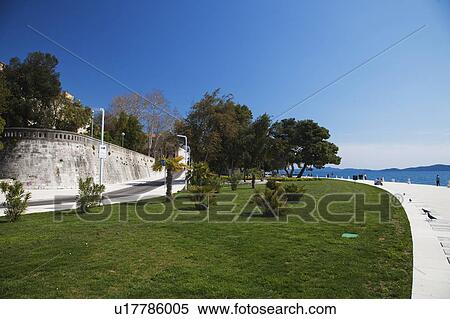 Greenry by seaside View Large Photo Image Stock Photography - Greenry by seaside. Fotosearch