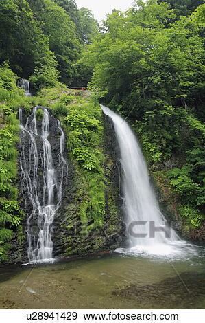 Hakugin Falls View Large Photo Image Stock Photo - Hakugin Falls. Fotosearch