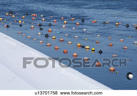 Stock Photo - Hichirippu Marsh, Hokkaido Prefecture, Japan. Fotosearch
