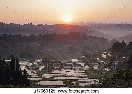 Hoshitoge Rice Terraces View Large Photo Image Stock Photography - Hoshitoge Rice Terraces. Fotosearch