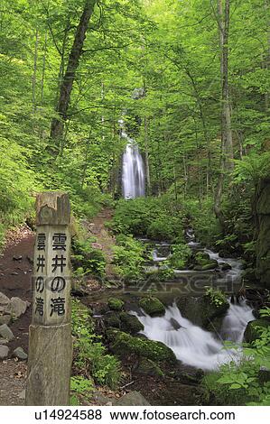 Kumoi-no-taki Waterfall View Large Photo Image Stock Photo - Kumoi-no-taki Waterfall. Fotosearch