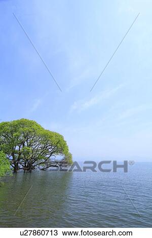 Lake Biwa View Large Photo Image Stock Image - Lake Biwa. Fotosearch