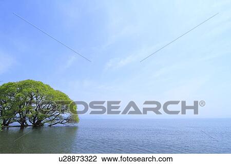 Stock Image - Lake Biwa. Fotosearch