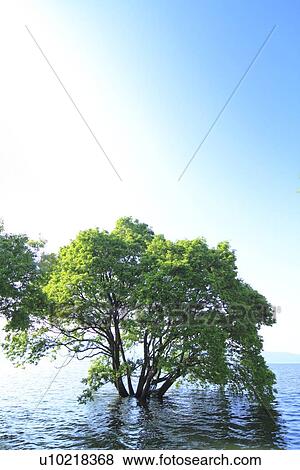 Stock Photo - Lake Biwa. Fotosearch