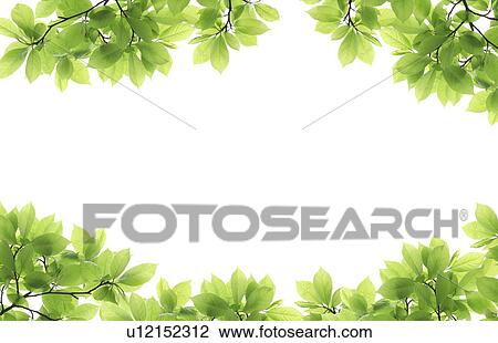Stock Image - Leaf Frame. Fotosearch