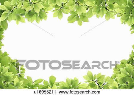 Stock Image - Leaf Frame. Fotosearch