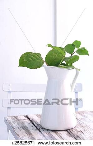 Stock Image - Lemon Grass in Pitcher. Fotosearch