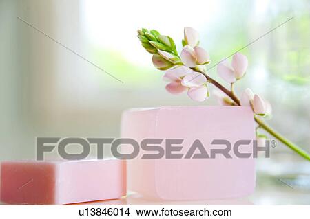 Lupine Flowers and Soap View Large Photo Image Picture - Lupine Flowers and Soap. Fotosearch