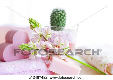 Lupine Flowers and Toiletries View Large Photo Image Stock Image - Lupine Flowers and Toiletries. Fotosearch