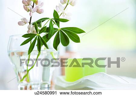 Lupine Flowers and Toiletries View Large Photo Image Stock Image - Lupine Flowers and Toiletries. Fotosearch