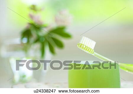 Lupine Flowers and Toothbrush View Large Photo Image Stock Photo - Lupine Flowers and Toothbrush. Fotosearch
