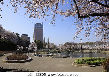 Stock Photography - Maebashi Park. Fotosearch