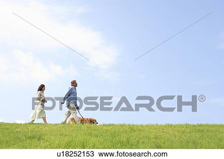 Mature Couple with Dog Walking in Field View Large Photo Image Stock Image - Mature Couple with Dog Walking in Field. Fotosearch