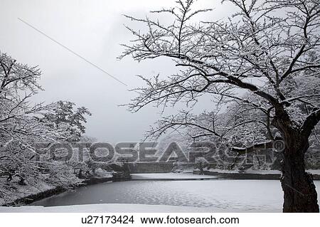 Picture - Moat at Tsuruga Castle in Winter. Fotosearch