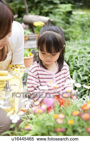 Mother and daughter spraying water on potted flower View Large Photo Image Stock Photography - Mother and daughter spraying water on potted flower. Fotosearch