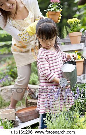 Mother and daughter watering on potted flower View Large Photo Image Stock Photograph - Mother and daughter watering on potted flower. Fotosearch