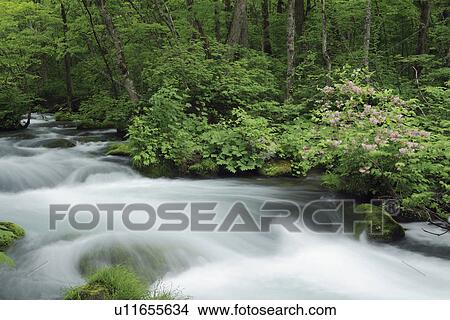 Mountain Stream View Large Photo Image Picture - Mountain Stream. Fotosearch
