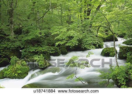Picture - Mountain Stream. Fotosearch