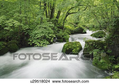 Mountain Stream View Large Photo Image Picture - Mountain Stream. Fotosearch