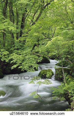 Stock Image - Mountain Stream. Fotosearch