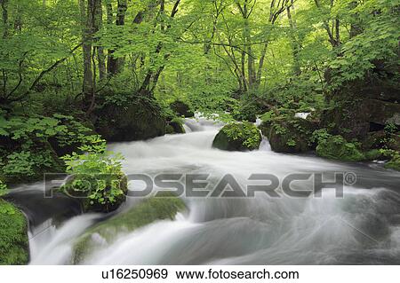 Mountain Stream View Large Photo Image Stock Photo - Mountain Stream. Fotosearch
