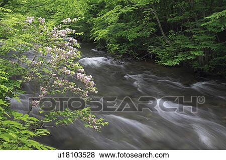 Mountain Stream View Large Photo Image Stock Photo - Mountain Stream. Fotosearch