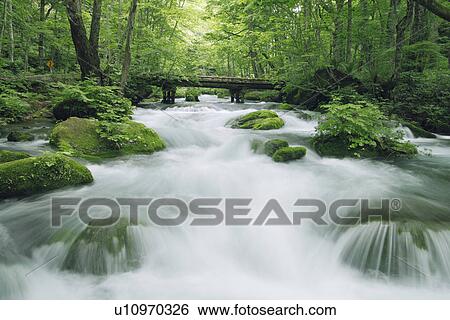 Stock Photograph - Mountain Stream. Fotosearch