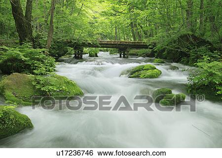 Stock Photograph - Mountain Stream. Fotosearch
