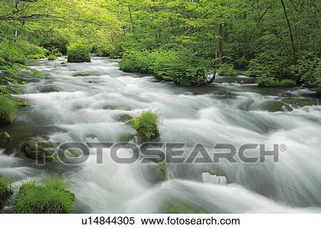 Mountain Stream View Large Photo Image Stock Photography - Mountain Stream. Fotosearch