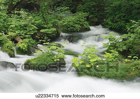 Stock Photography - Mountain Stream. Fotosearch
