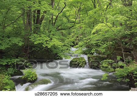 Stock Photography - Mountain Stream. Fotosearch