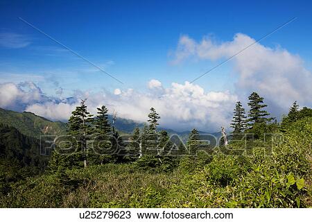 Stock Image - Mountaneous Landscape. Fotosearch