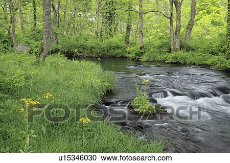 Nagase River View Large Photo Image Stock Image - Nagase River. Fotosearch