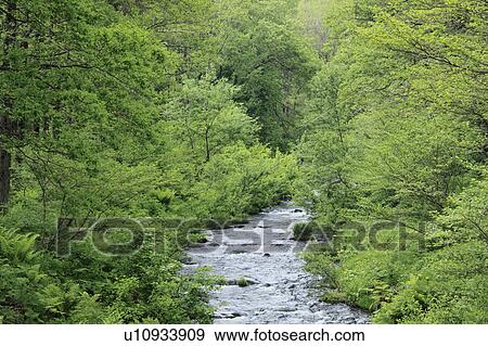 Nagase River View Large Photo Image Stock Photo - Nagase River. Fotosearch