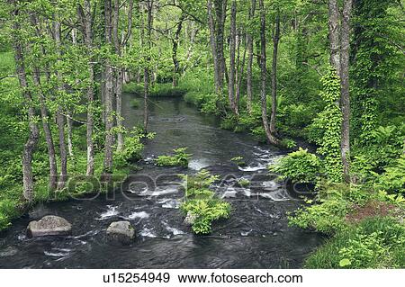 Stock Photo - Nagase River. Fotosearch