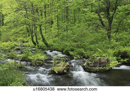 Nagase River View Large Photo Image Stock Photo - Nagase River. Fotosearch
