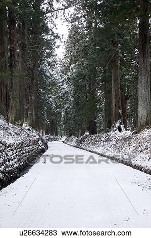 Nikko Kaido Route in Winter View Large Photo Image Stock Image - Nikko Kaido Route in Winter. Fotosearch