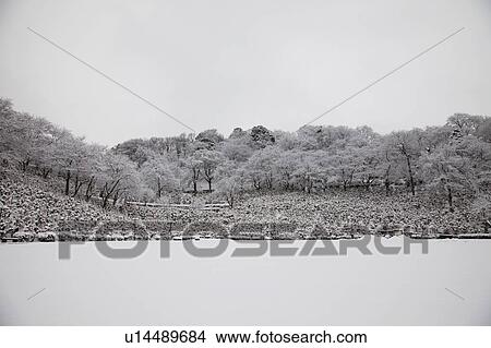 Picture - Nishiyama Park in Winter. Fotosearch
