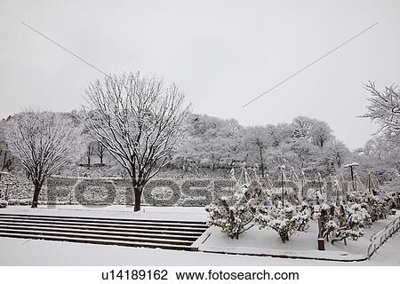 Nishiyama Park in Winter View Large Photo Image Stock Image - Nishiyama Park in Winter. Fotosearch