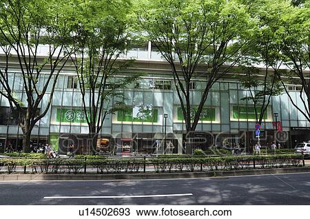 Omotesando street, Shibuya Ward, Tokyo Prefecture, Japan View Large Photo Image Stock Image - Omotesando street, Shibuya Ward, Tokyo Prefecture, Japan. Fotosearch
